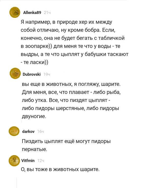 Прикольные комментарии и высказывания из Сети