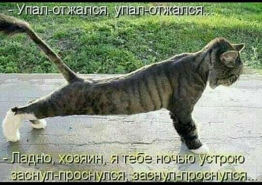 Немного картинок для настроения 25.01.20