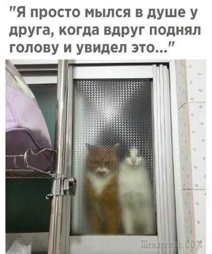 Чуток картинок Ночные 2