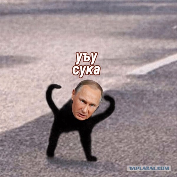Немного картинок на злобу дня