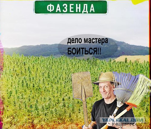Фотожаба: ТВ программа
