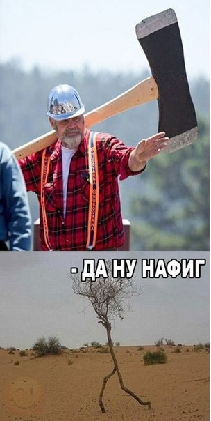 Чуток картинок 24.07.20