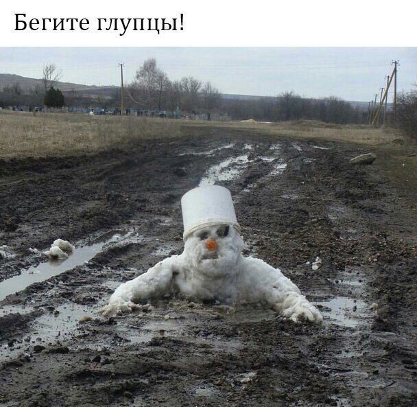 Так себе картинки 28.07.20