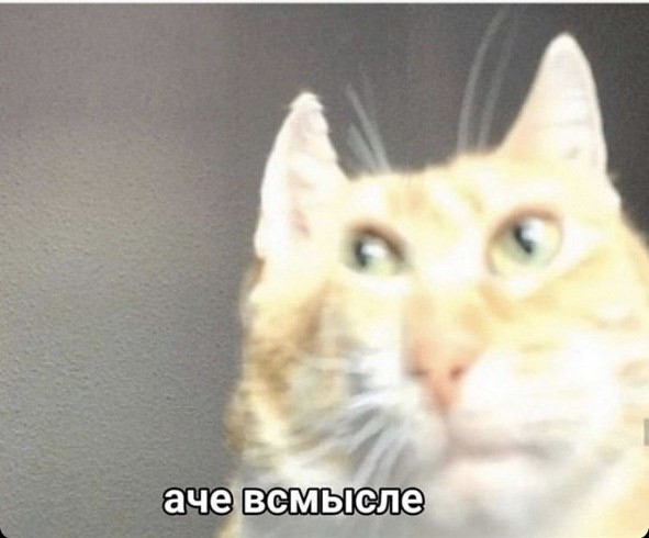 UFC красивый нокаут