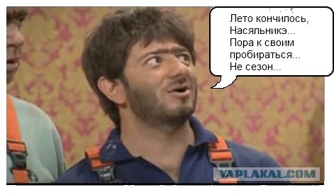 Битва фотожаберов: Лето кончилось