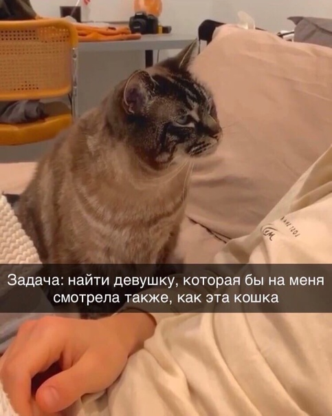 Картинки и мемы для настроения 007