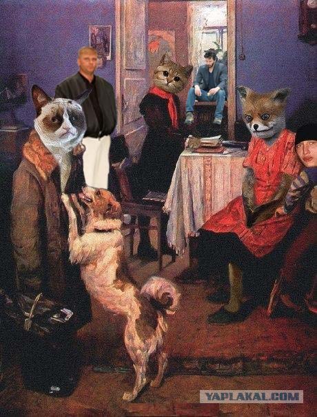 Таксидермия + наркомания