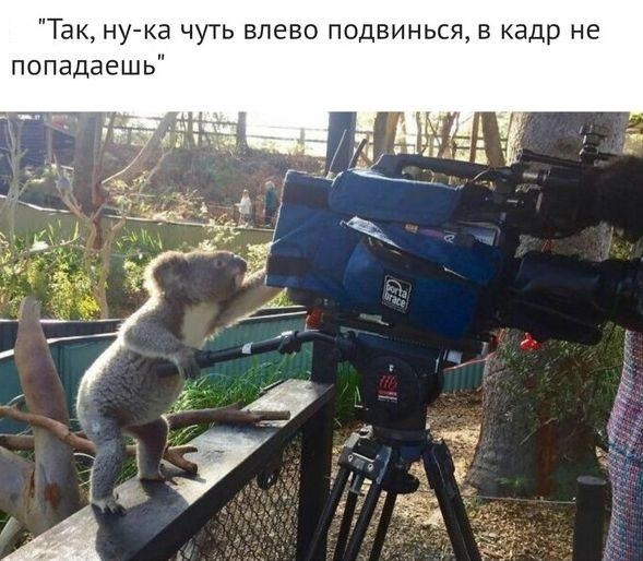 Картинки и мемы для настроения 30.01.21