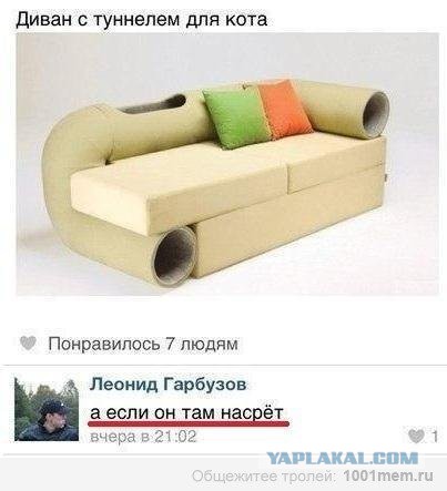 Котовторник. Добавляйте своих