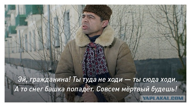 В Москве представили новое шоу трюкачей-камикадзе