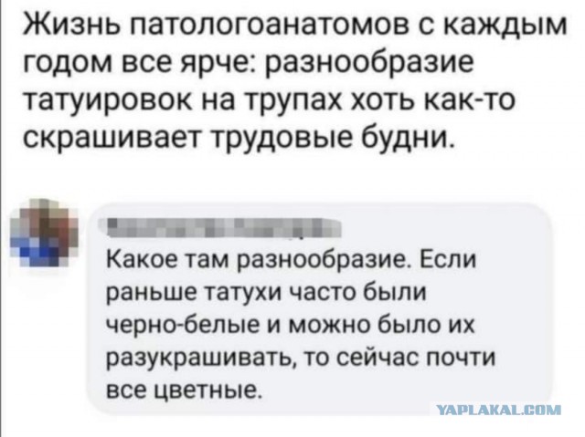 Интеллектом надо выделяться, интеллектом...