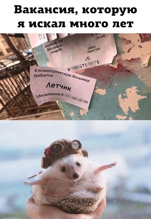 Бредзона 05.04.21