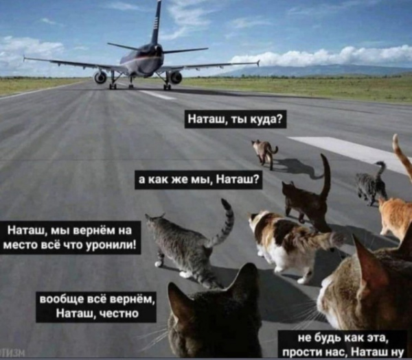 Картинки и мемы для настроения