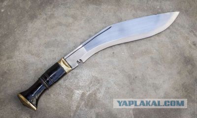 В Пермском крае ученик напал на учительницу физики с ножом