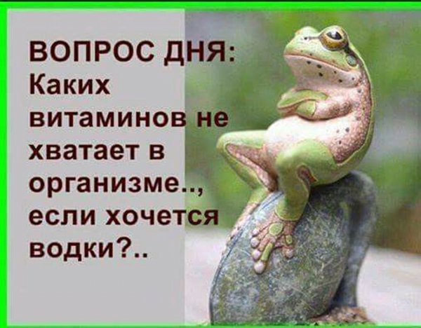 Просто картинки 05.07.2021