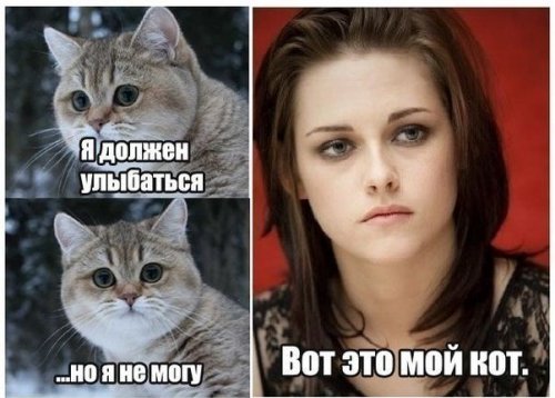 Картинки и мемы для настроения 020