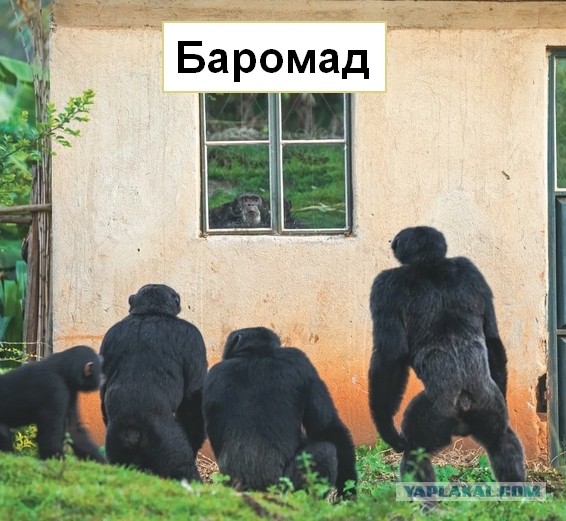 Глава СПЧ попросил Собянина разобраться с «раздражающими» указателями для мигрантов в метро