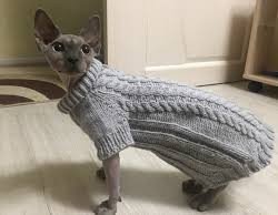 Вторник. Котэ. Пора