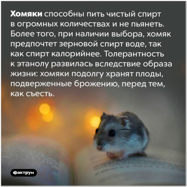 Чуток картинок 23.01.22