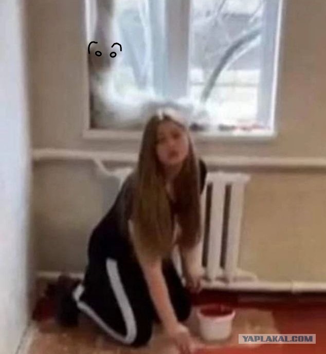 Наши любимки такие смешные
