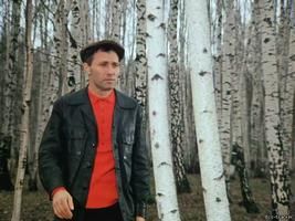А я вам березок привез