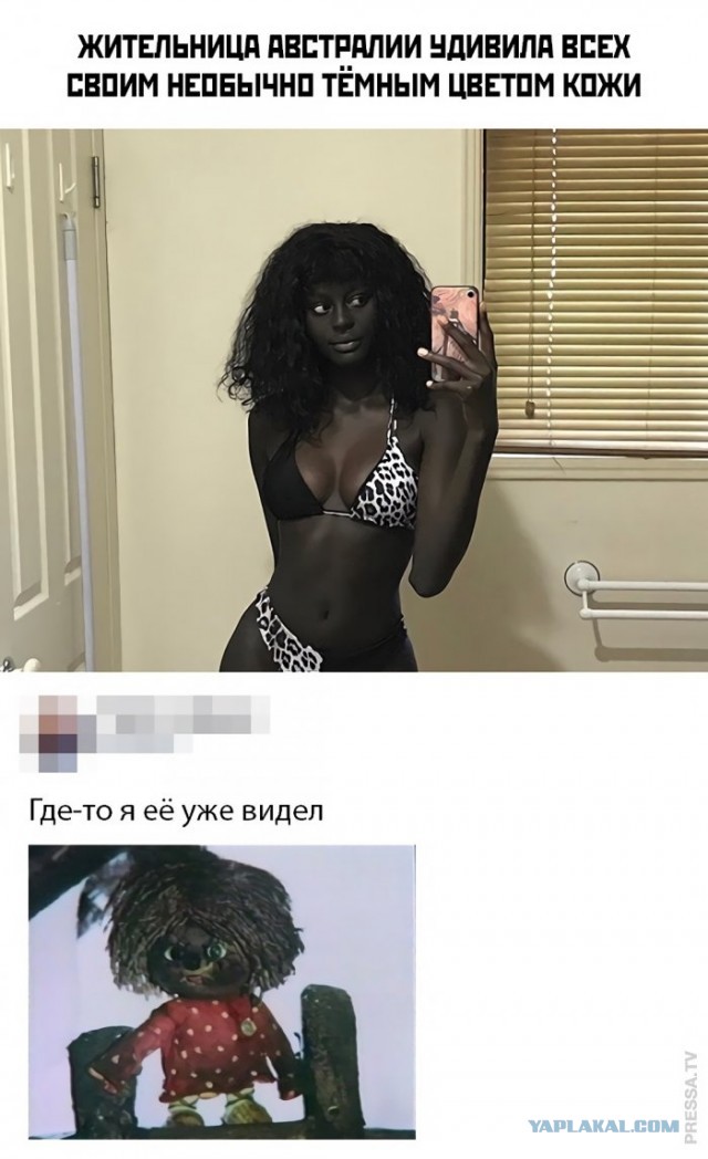 Забавные и веселые картинки