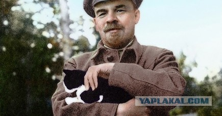 Немного пятничных и где то смешных картинок