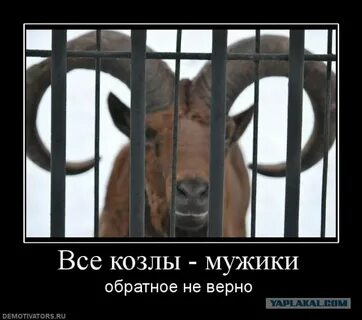 Муж отказывается прописывать меня!