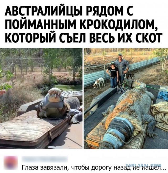 Скриншоты и комментарии из социальных сетей 24.09.22
