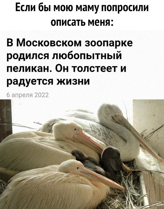 Картинки и мемы, всем хороших выходных