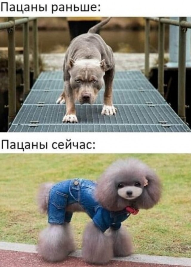 Картинки и мемы для настроения - 119