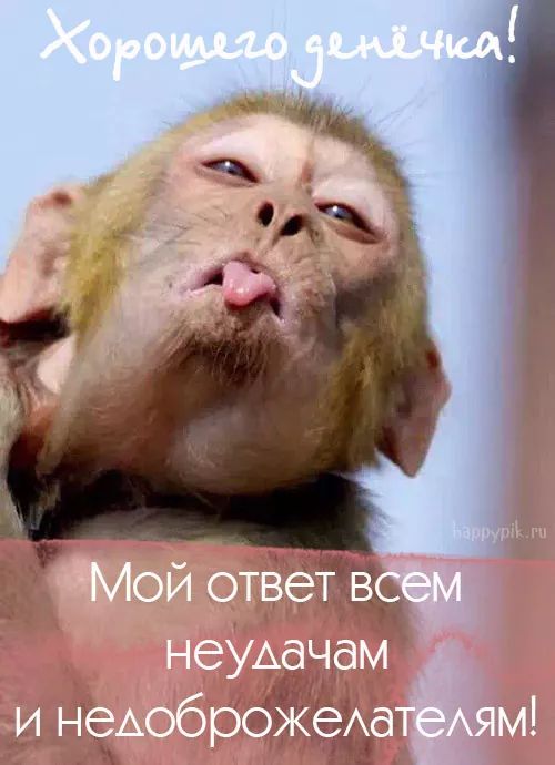 Прикольные и просто красивые картинки 07.07.2023