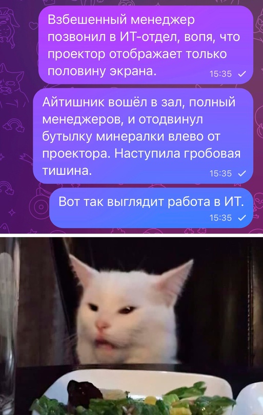 Весёлый полтишок 03.09.23