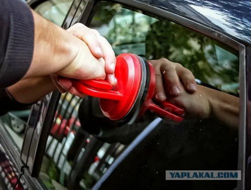 В центре Москвы пытаются спасти кота, который уже 4 дня заперт в машине без еды и воды