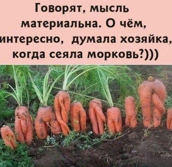Народная меДИЧина 9010