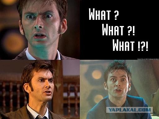 Убил питбультерьера, которого натравил хозяин