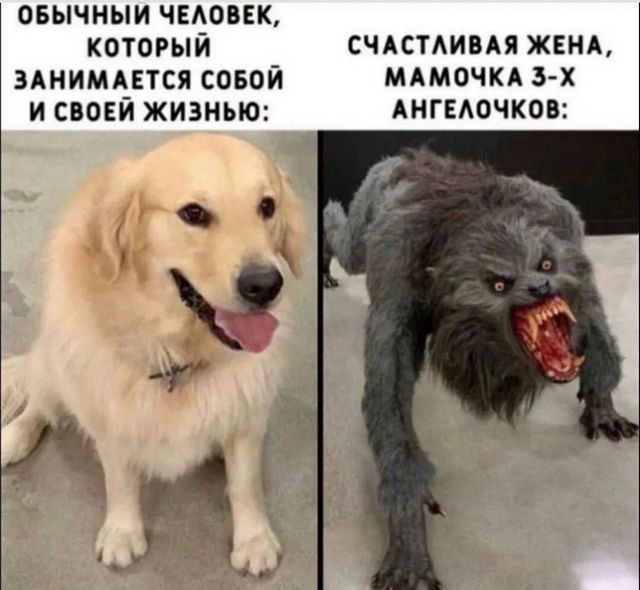 Завалялось тут случайно немного забавных картинок