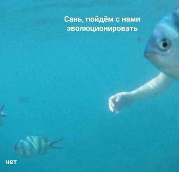 Никакие картинки и тексты