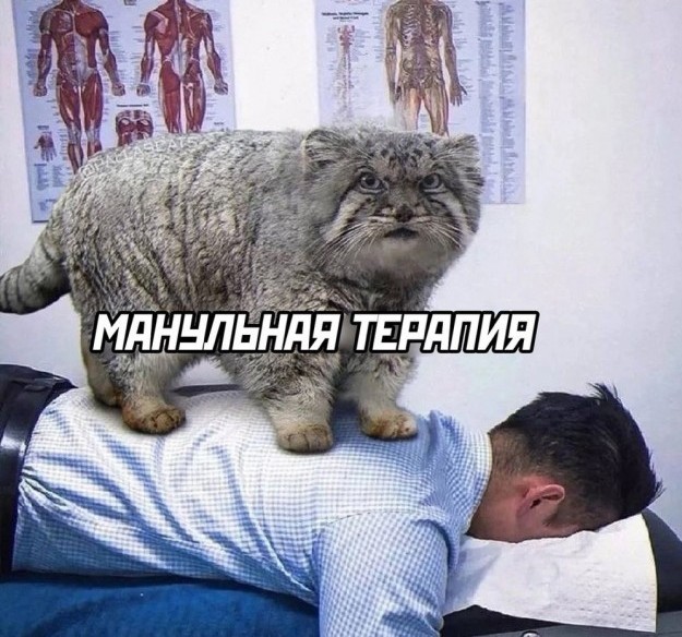 Отряд быстрого деградирования