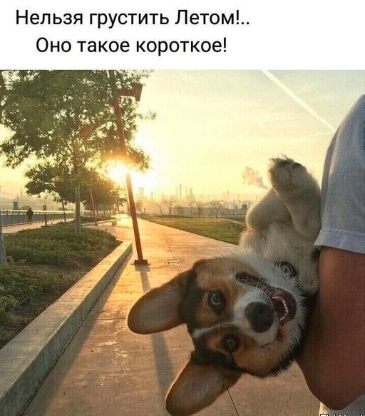 Картинки разные с надписями и без