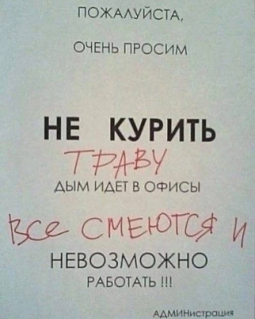 Так себе картинки 20.11.24