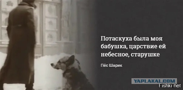 Женщина сломала систему