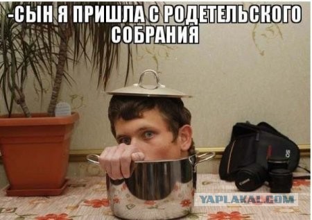 Забавные школьные дневники