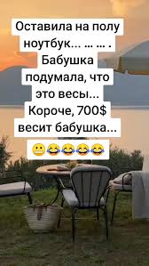 Кот прыгнул на ноутбук