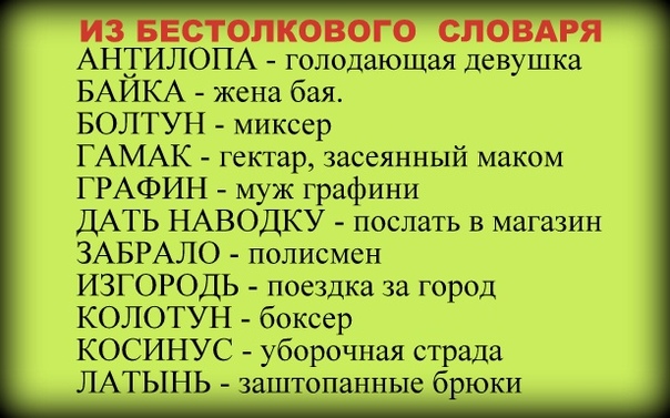 Дизайнерка, кассирша, продавецка: зачем нам феминитивы и почему они бесят?