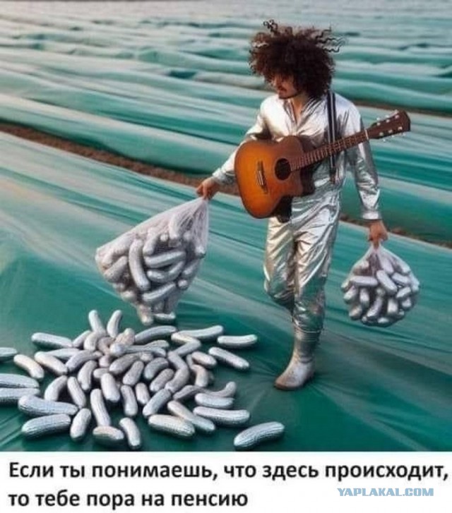Так себе картинки 08.06.25