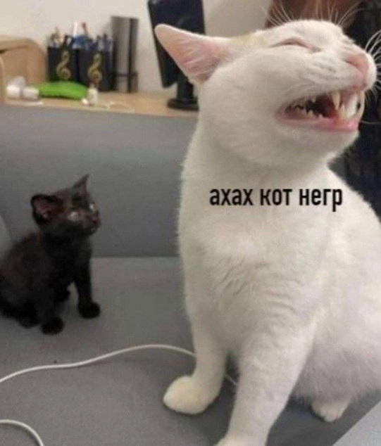 Хоть и не котовторник,но все же...