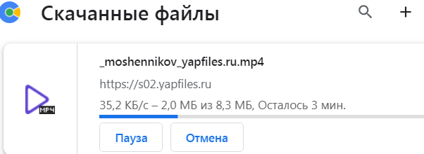 Пара попыталась расплатиться украденной кредиткой.