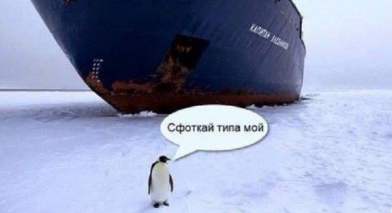 Фотографии из прошлого нашей страны – 134