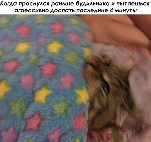 Картиночки, баянчики 14 мая